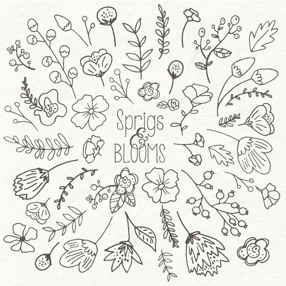Floral doodle
