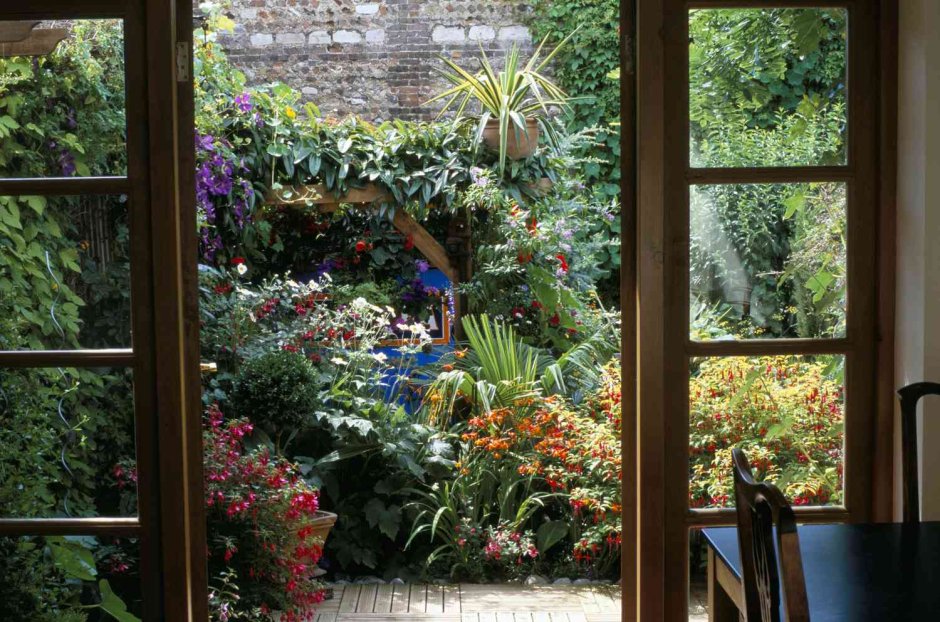 Sunny garden window