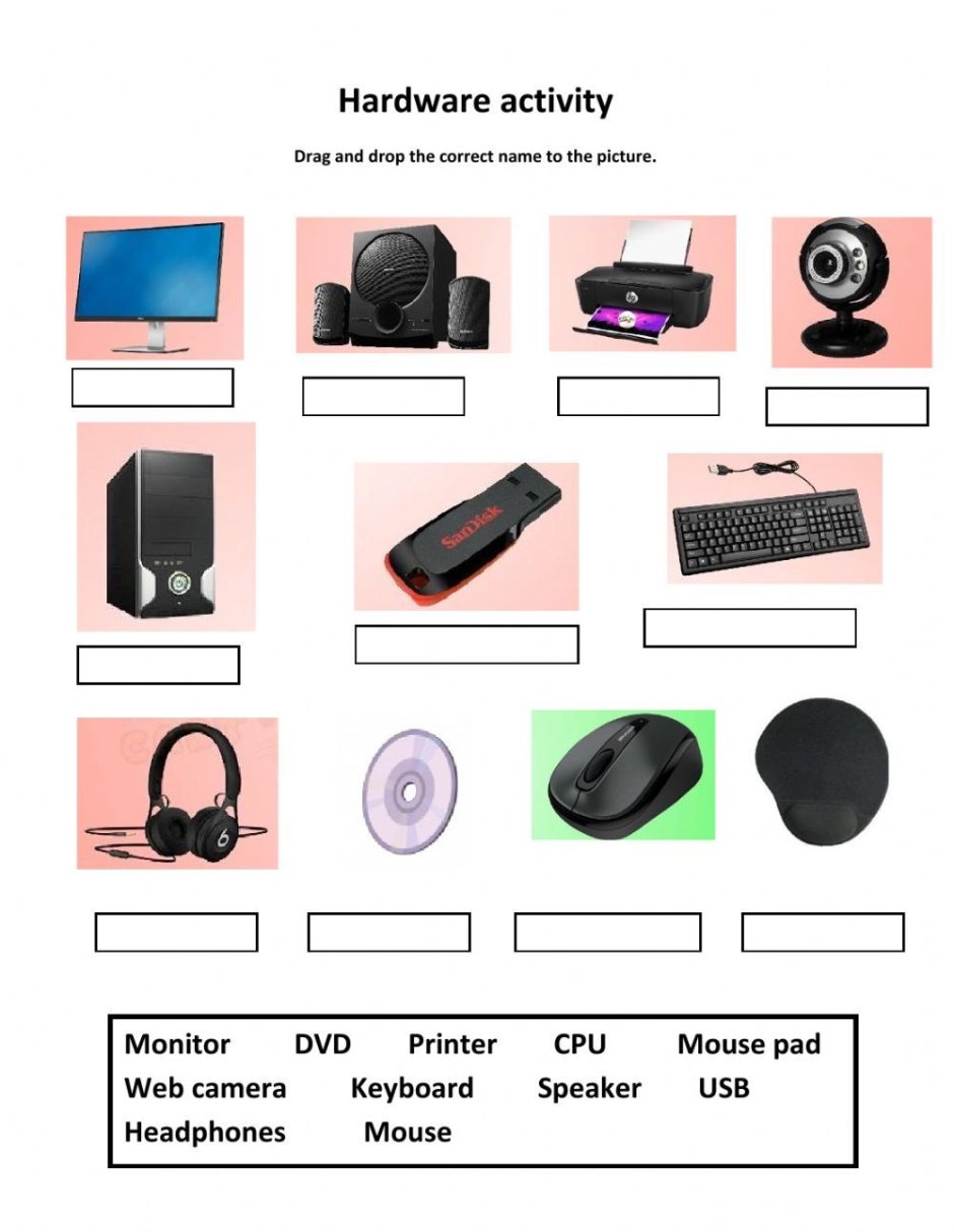 Output Devices are hardware components that convey information to one or  more people | Computer basics, Output device, Computer lab classroom