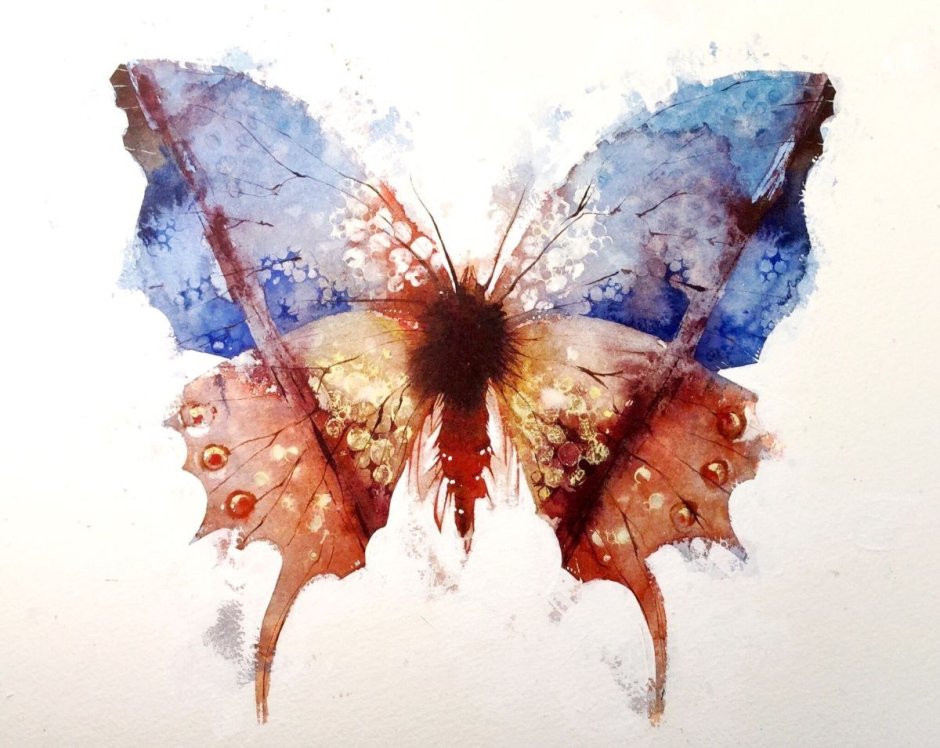Butterfly art painting