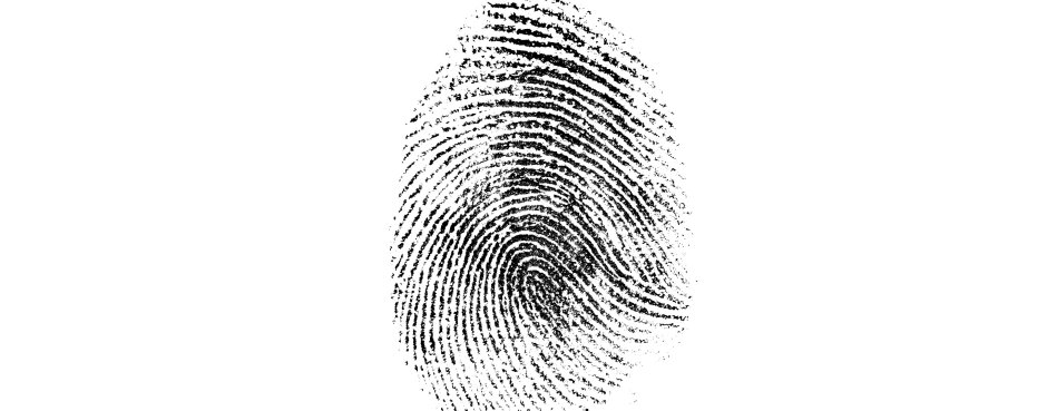 Fingerprint art
