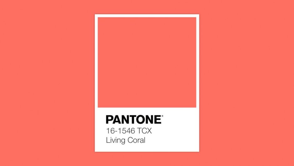 Bright color pantone