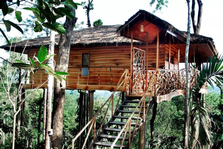 Tree house kerala