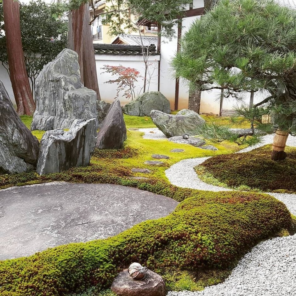 Japanese moss garden