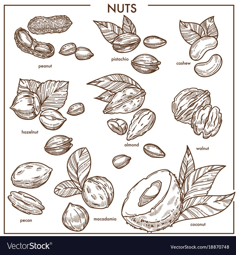 Pistachio hazelnut almond