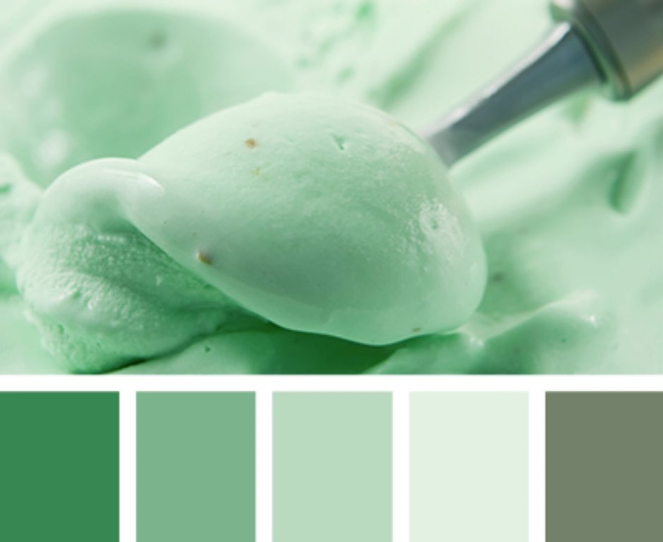 Light green colour palette