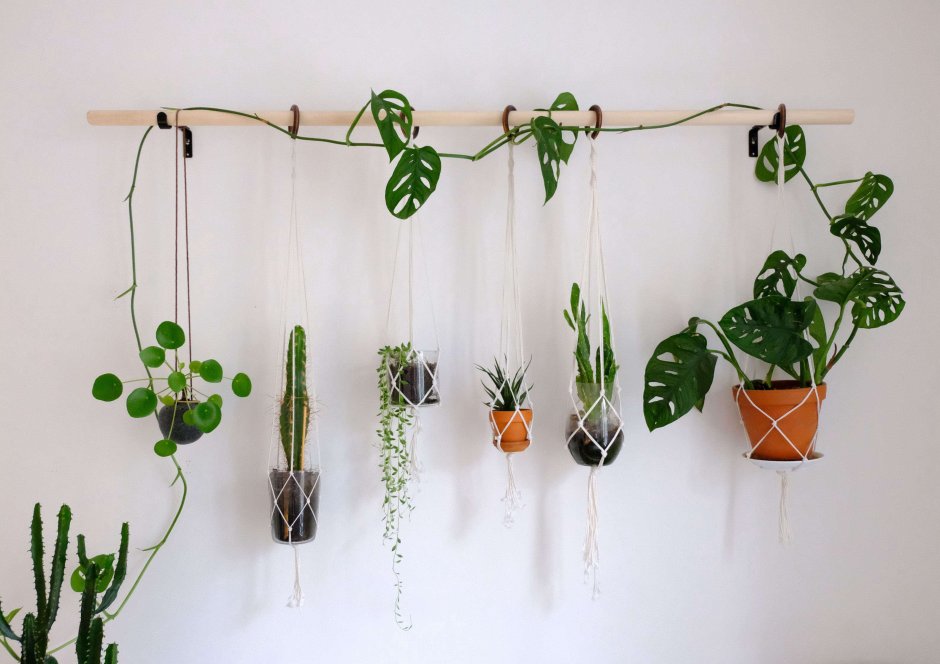 Hanging planter