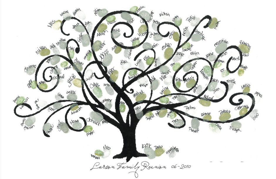 Family tree diagram hi-res stock photography and images - Alamy