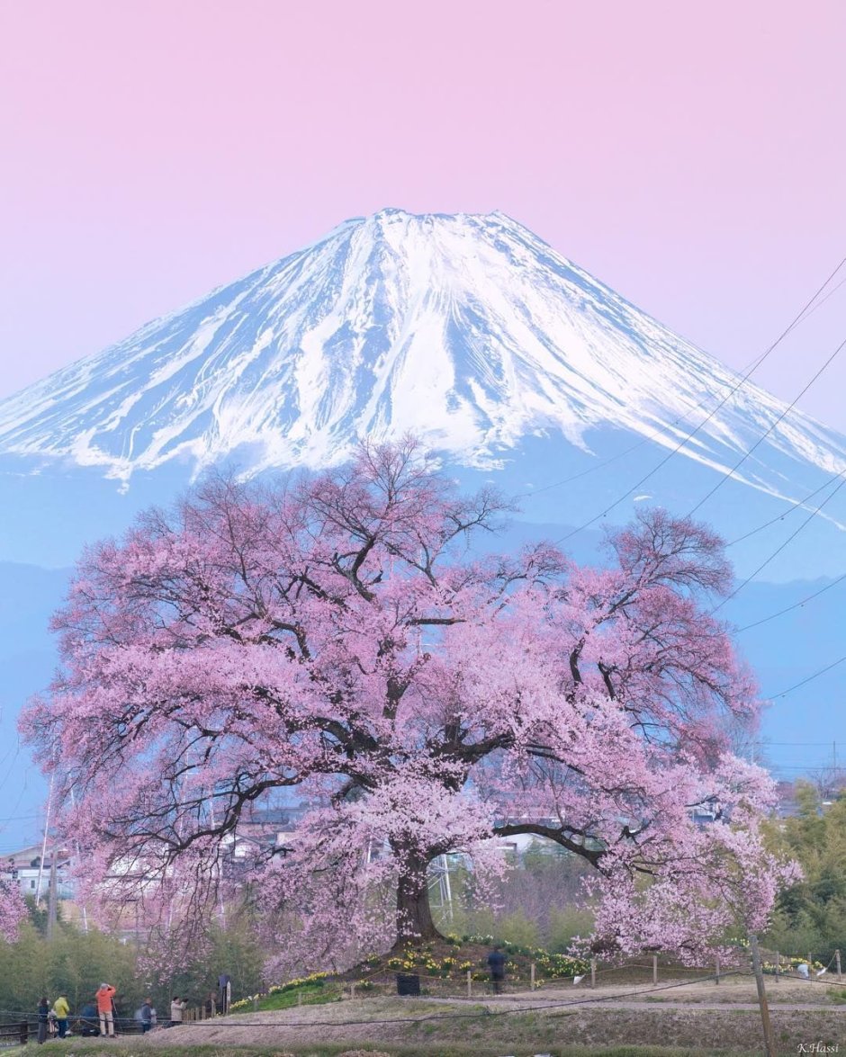 Fuji japan