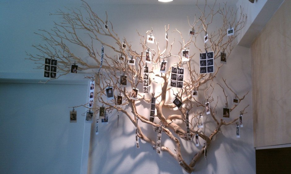 Branches of trees decoration