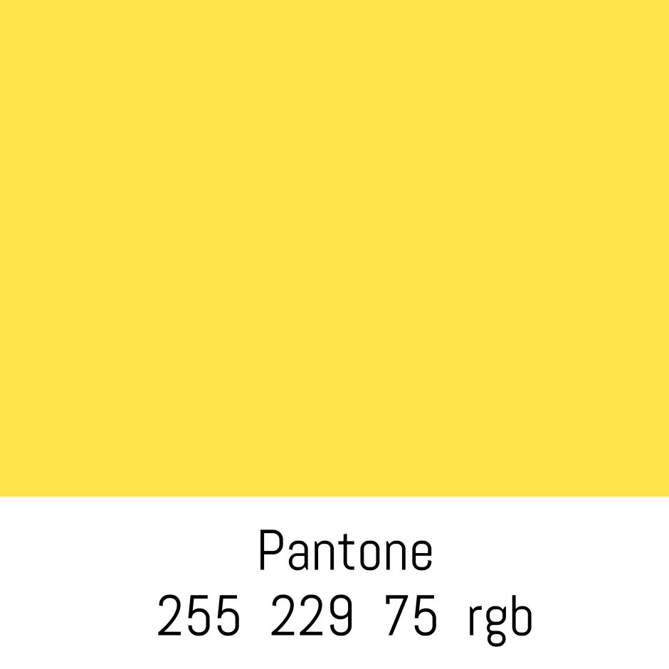 Yellow color pantone
