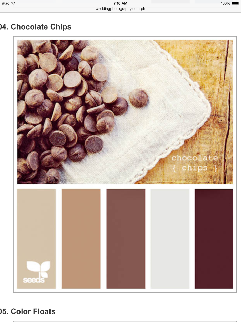 Chocolate color palette