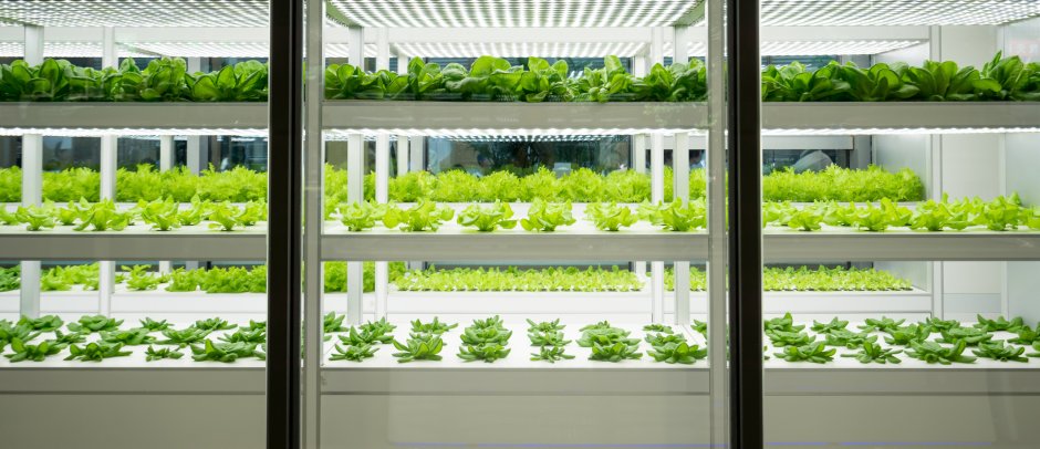 Vertical greenhouses