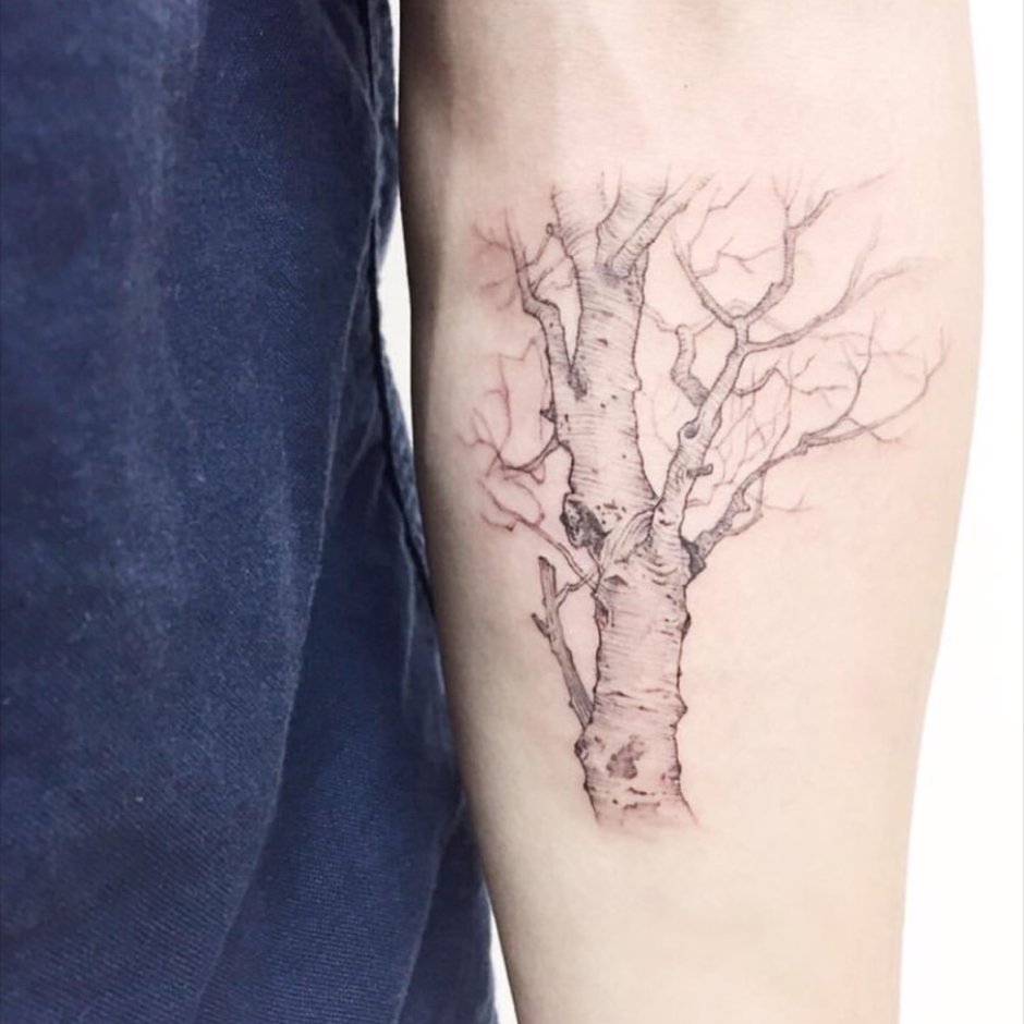 tree tattoo | morag sangster