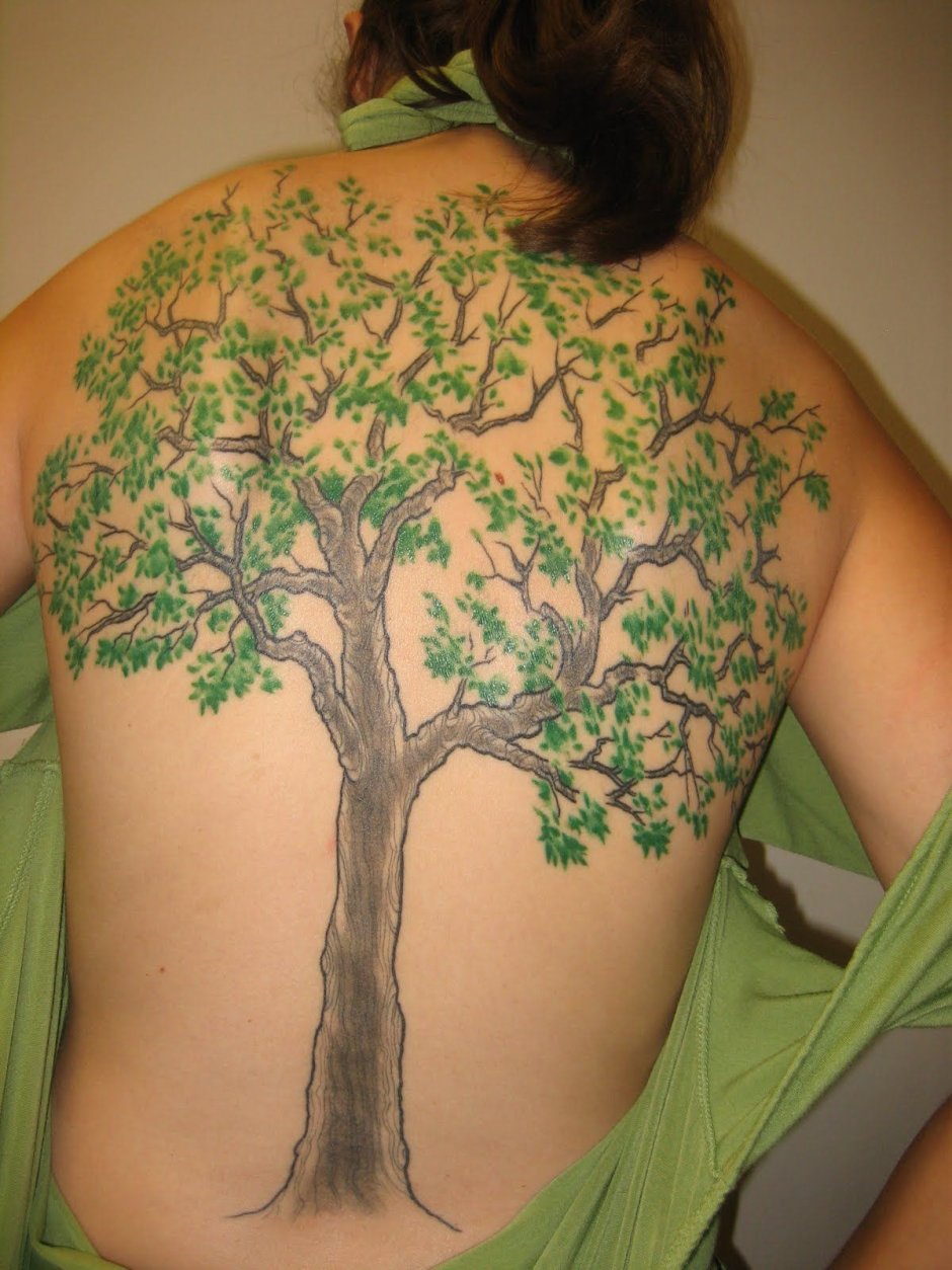 Tree Tattoos - Tattoo Insider