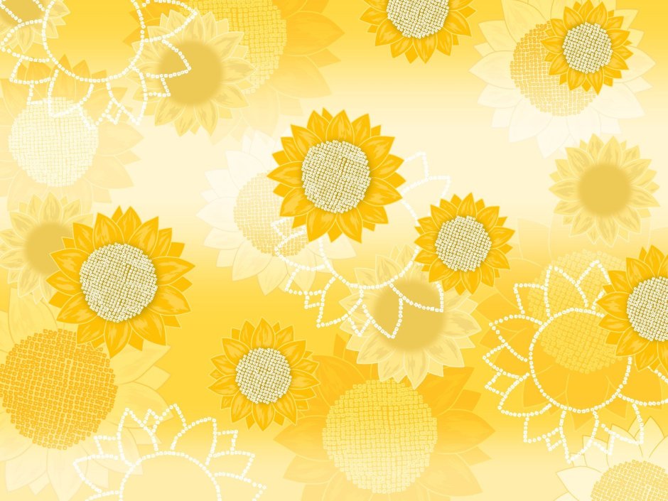 Yellow sunflower background