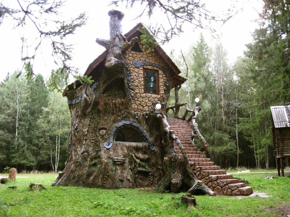 Fairy tale house in the tree