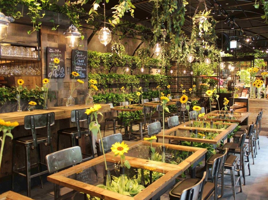 Restaurant greenery