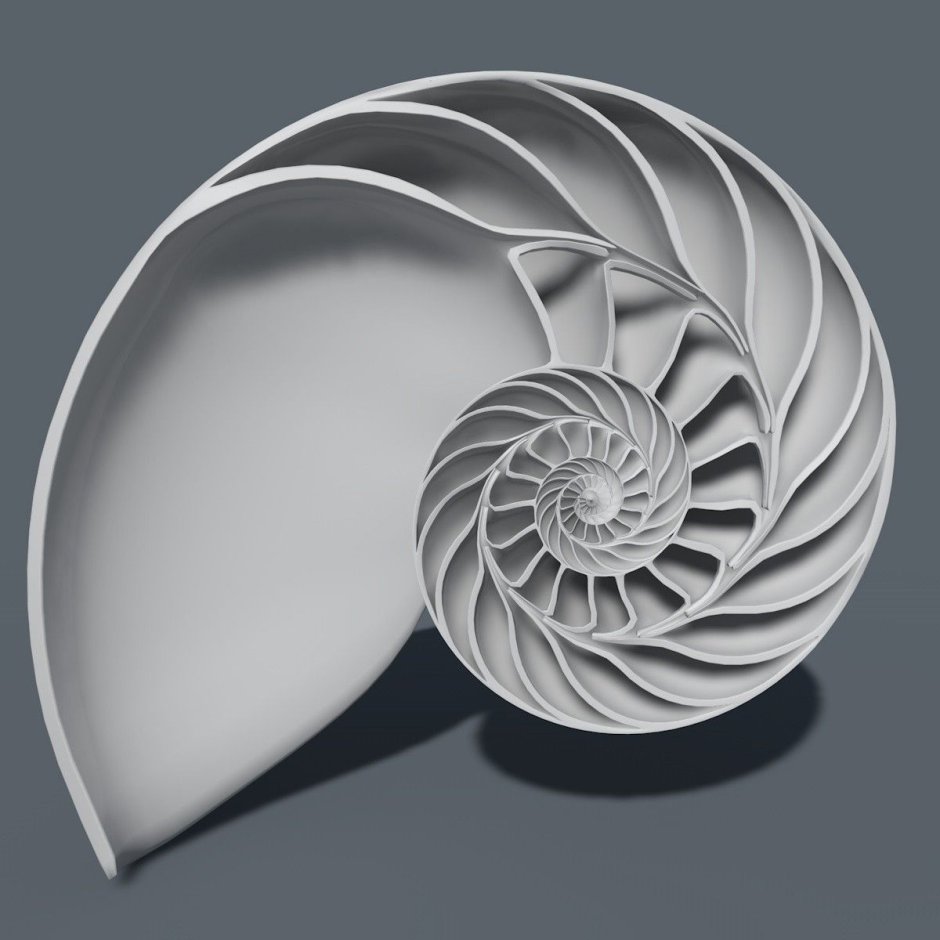 Spiral design