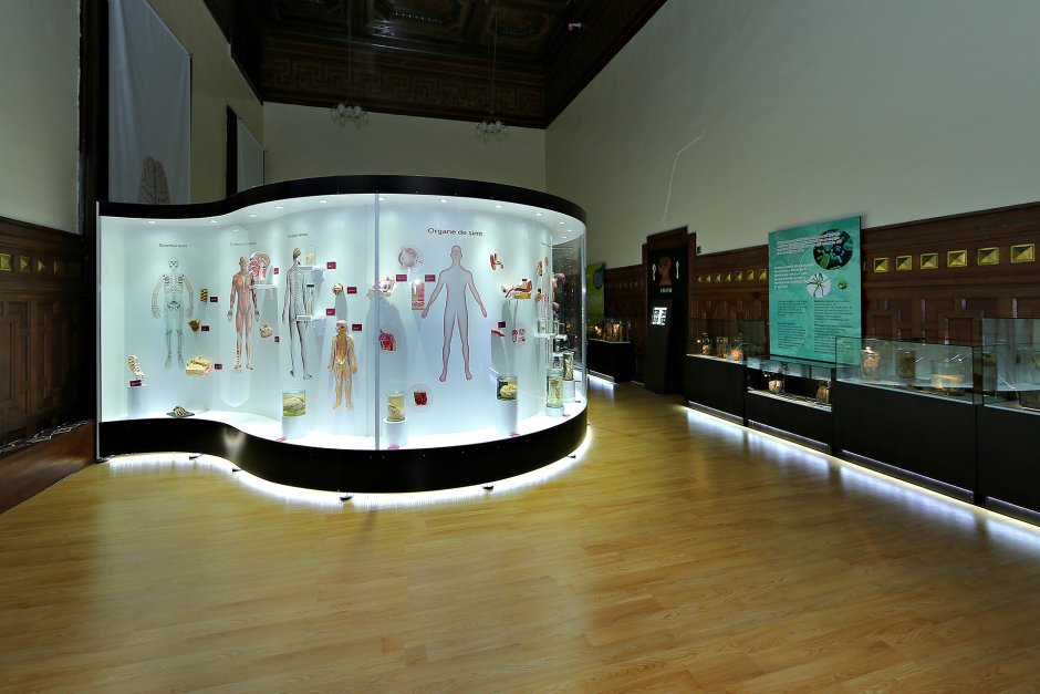 Modern exhibit