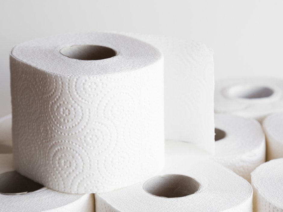 Craft with toilet paper rolls