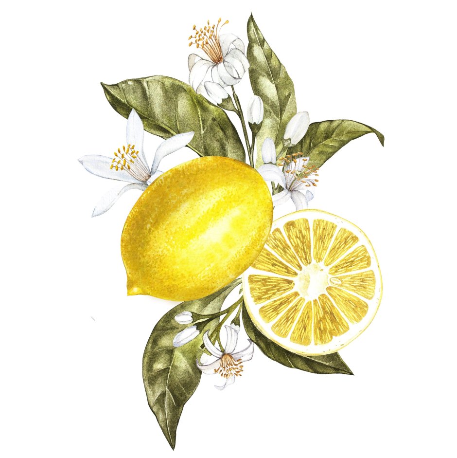 Lemon bg