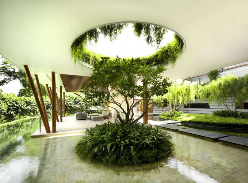 The green room garden design