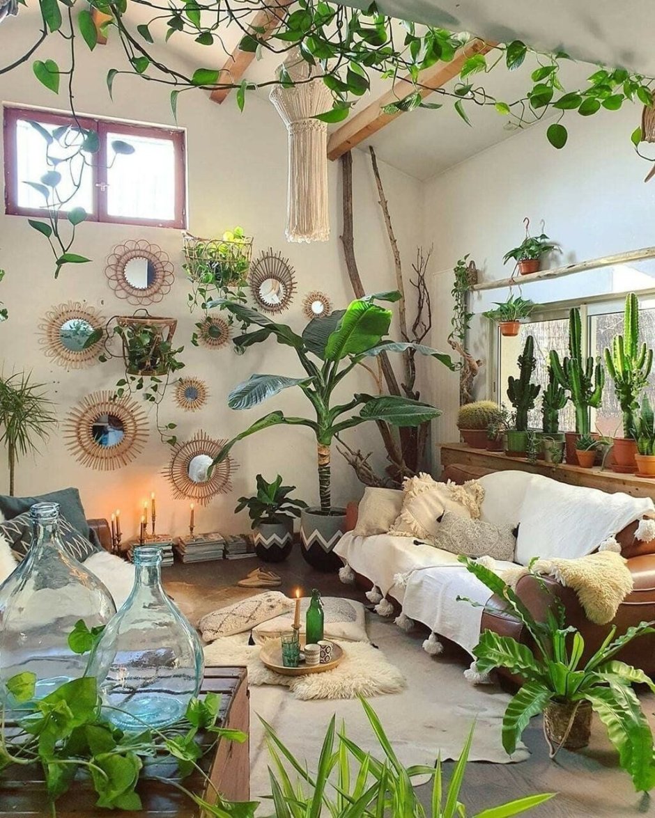 Plant asthetic room