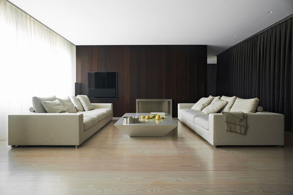Minimalist style living room