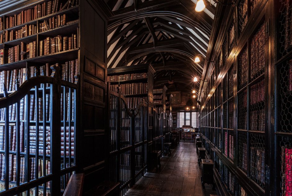 Dark academia library room