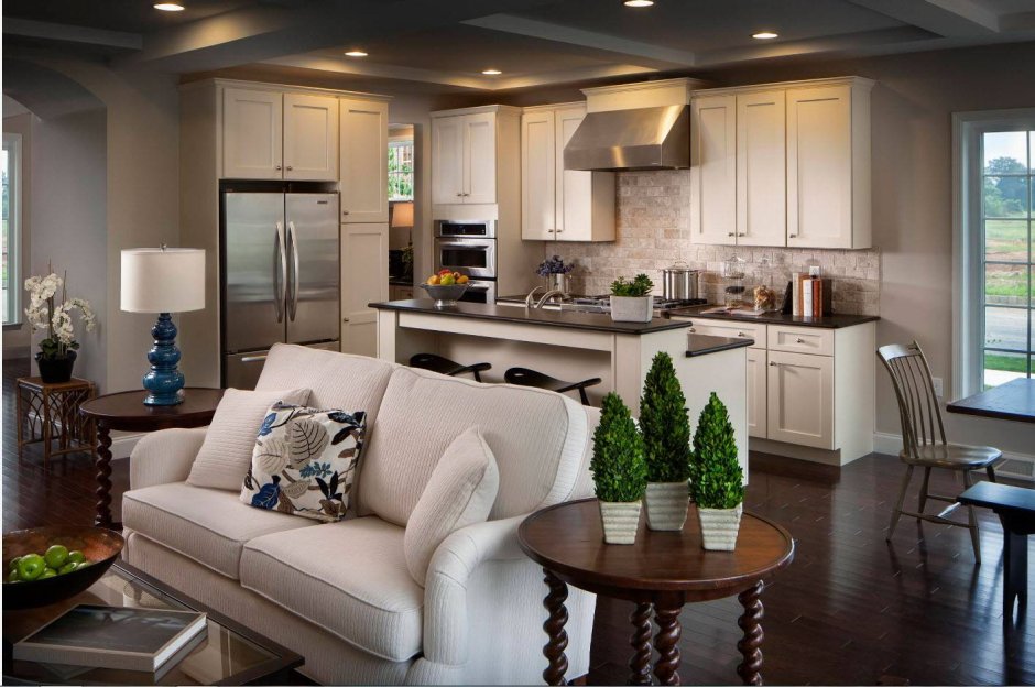 Living room with kitchen interior design