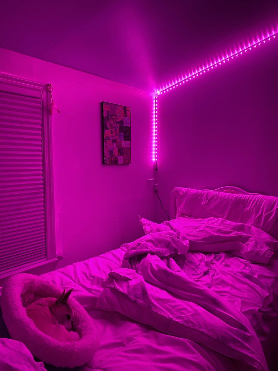 Neon pink room aesthetic
