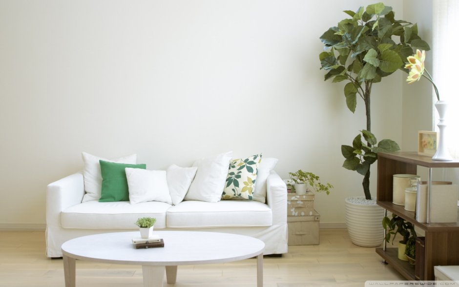 White room with green plants