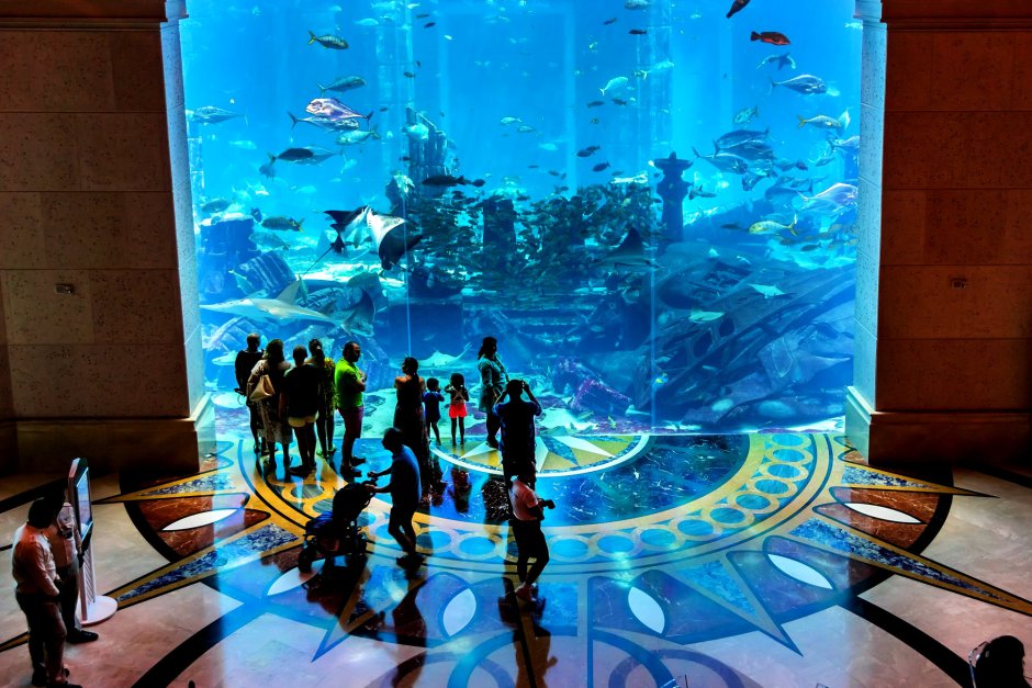 Atlantis dubai aquarium room