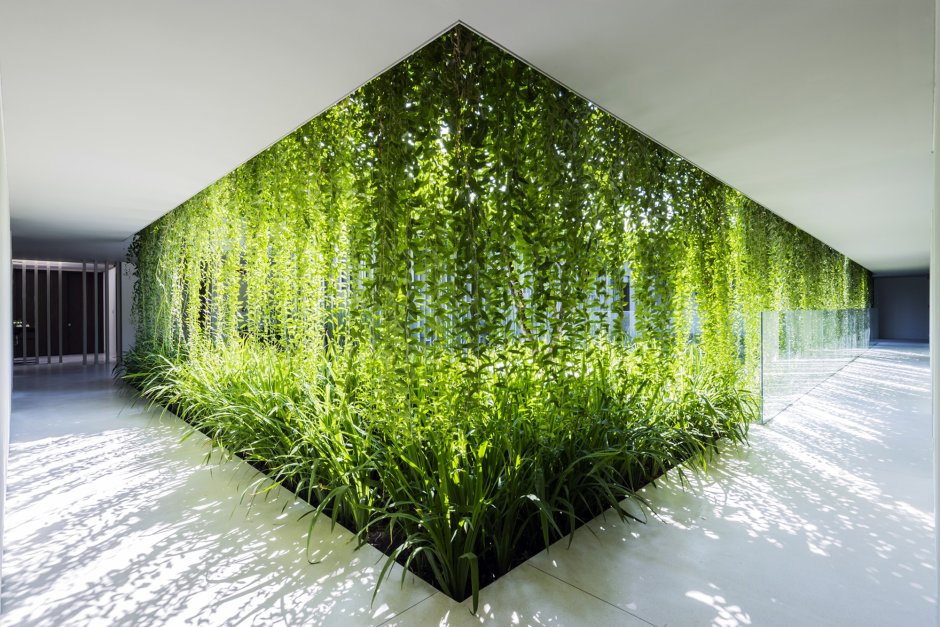 Grass room design