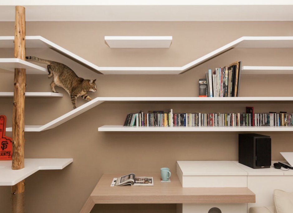Design cat room