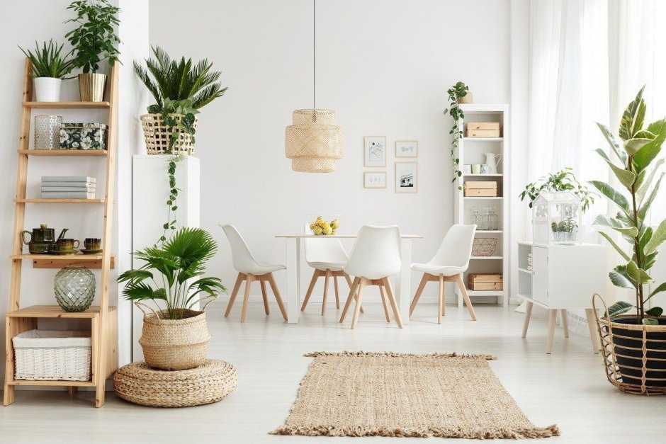 White interior with plants