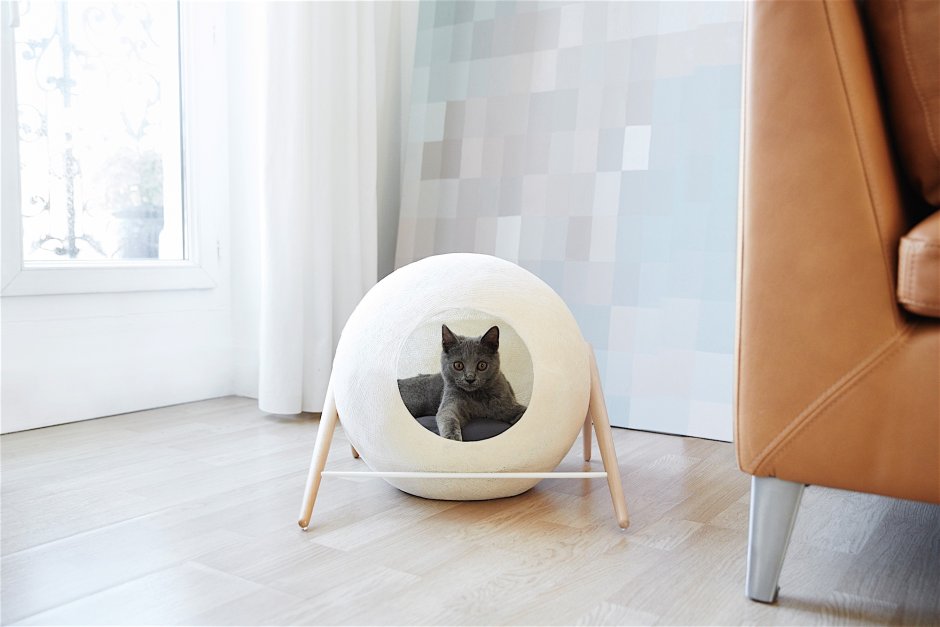 Stylish cat house