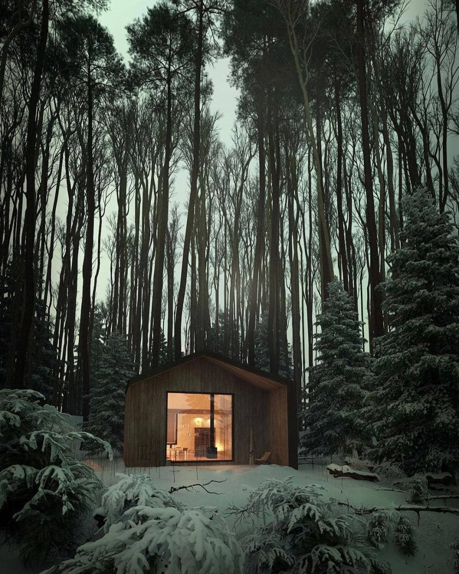 Home in the forest