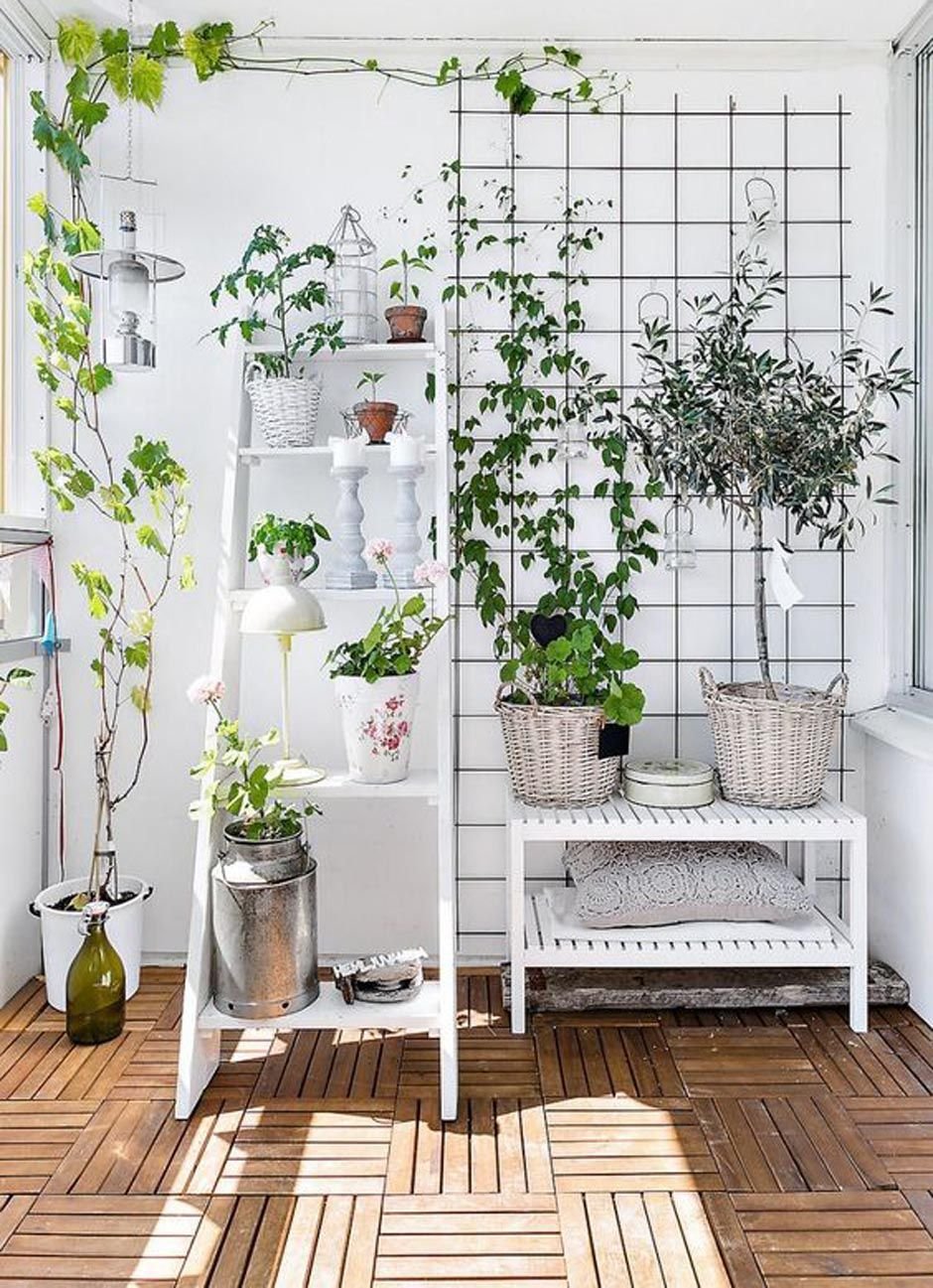 Study room with plants