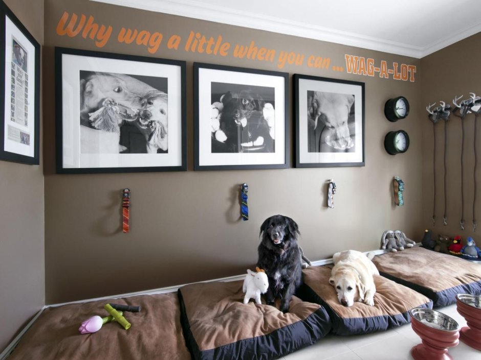 Dog room design